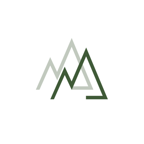 light logo